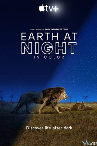 Sắc Màu Trái Đất Về Đêm - Earth At Night In Color (2020)