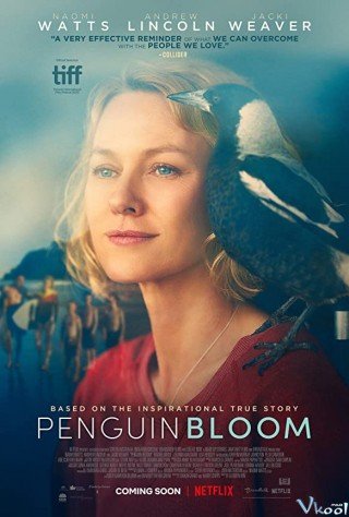 Cánh Cụt Nhà Bloom - Penguin Bloom 2020
