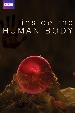 Phim Bên Trong Cơ Thể Con Người - Bbc: Inside The Human Body (2011)