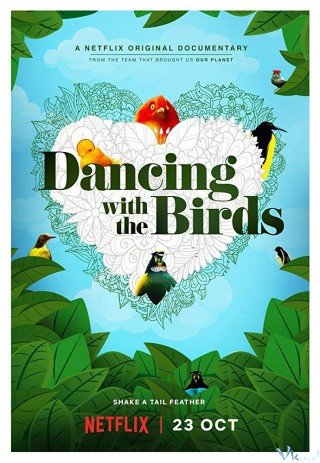 Vũ Điệu Của Loài Chim - Dancing With The Birds 2019