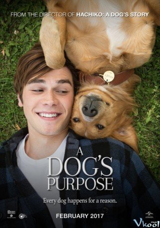 Mục Đích Sống Của Một Chú Chó - A Dog’s Purpose (2017)