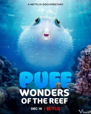 Phim Puff: Rạn San Hô Kỳ Diệu - Puff: Wonders Of The Reef (2021)