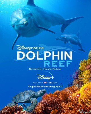 Phim Rạn San Hô Cá Heo - Dolphin Reef (2020)
