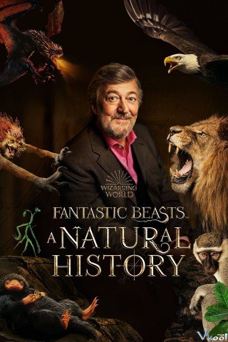 Sinh Vật Huyền Bí: Lịch Sử Tự Nhiên - Fantastic Beasts: A Natural History 2022
