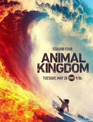 Vương Quốc Động Vật 4 - Animal Kingdom Season 4 2019