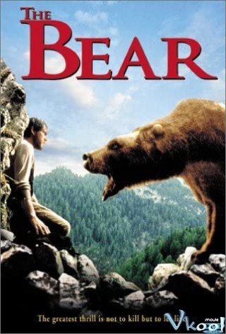 Con Gấu - The Bear (1988)