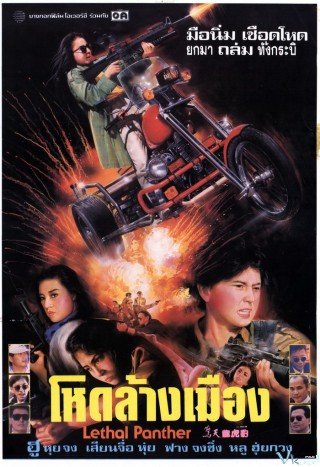 Phim Nữ Sát Thủ Xinh Đẹp - Lethal Panther (1990)