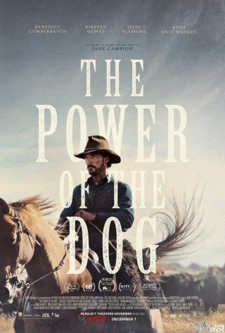 Phim Chủ Trang Trại - The Power Of The Dog (2021)