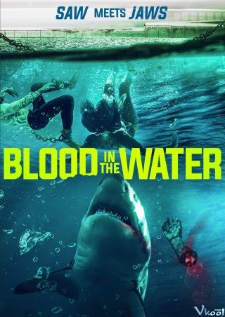 Phim Cá Mập Dưới Nước - Blood In The Water (2022)