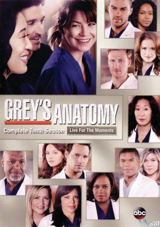 Ca Phẫu Thuật Của Grey 10 - Grey's Anatomy Season 10 (2013)