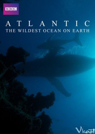 Phim Đại Tây Dương: Đại Dương Hoang Dã Nhất - Atlantic: The Wildest Ocean On Earth (2015)