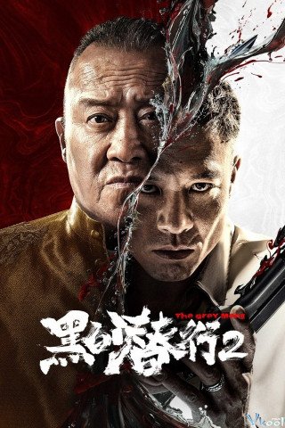 Đặc Vụ Vô Hình 2 - The Grey Men 2 (2025)