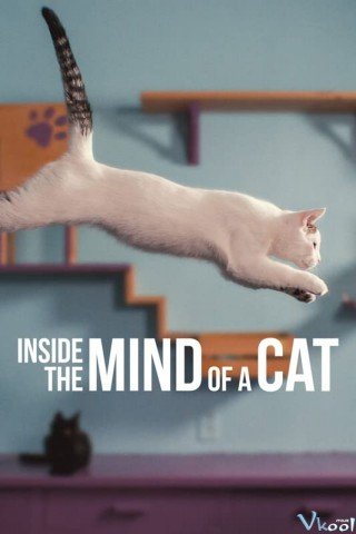 Phim Những Chú Mèo Nghĩ Gì - Inside The Mind Of A Cat (2022)